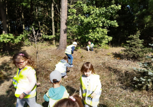 02 Dzieci spaceruja po lesie w poszukiwaniu szyszek i żołędzi